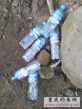 IMG_20130306_090231.jpg