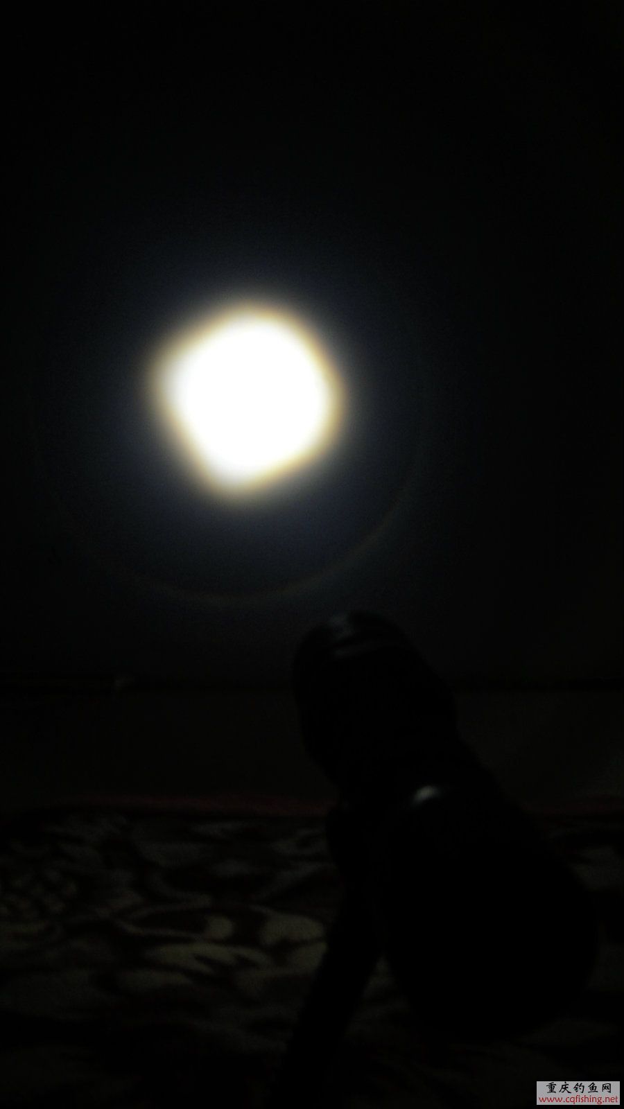 17_meitu_17.jpg