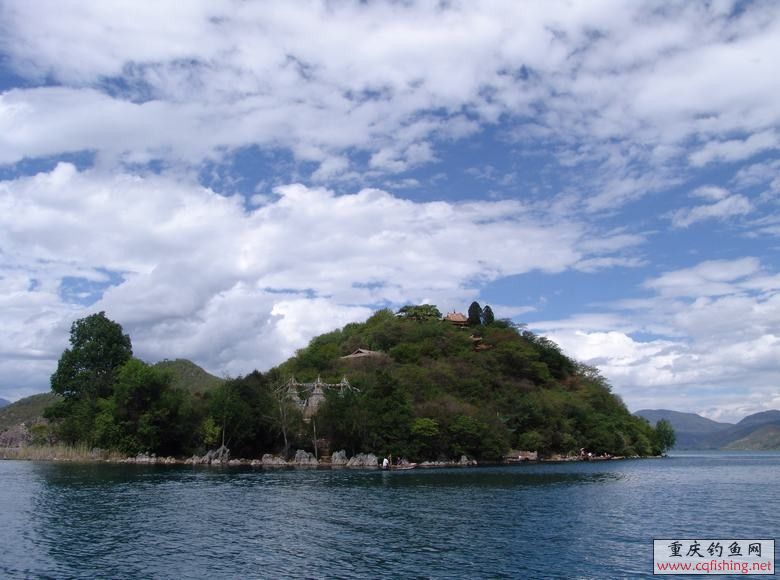 conew_dsc08293.jpg