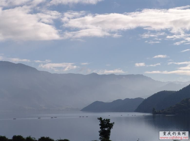 conew_dsc08337.jpg