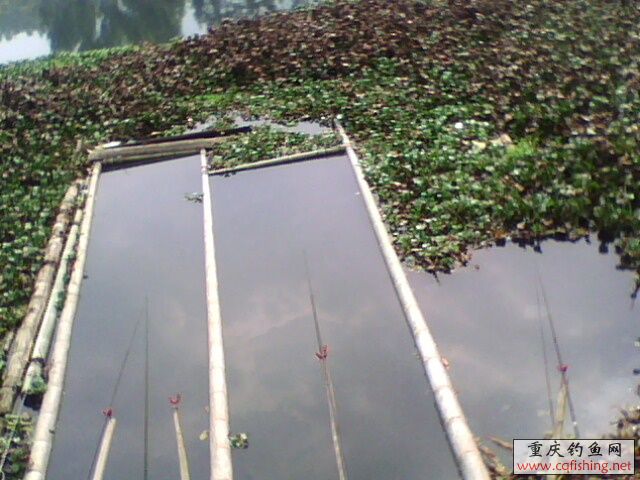 1303131340.jpg