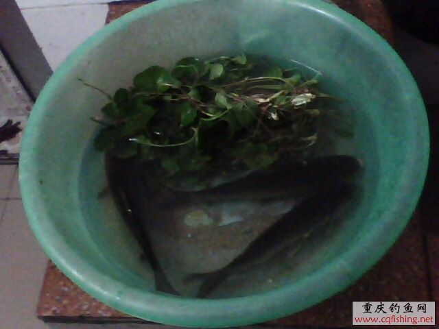 1303131343.jpg