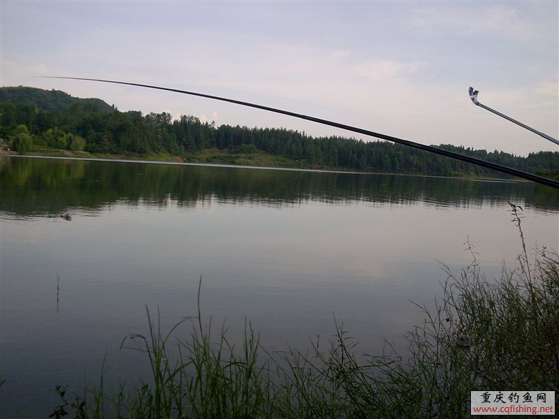09.jpg