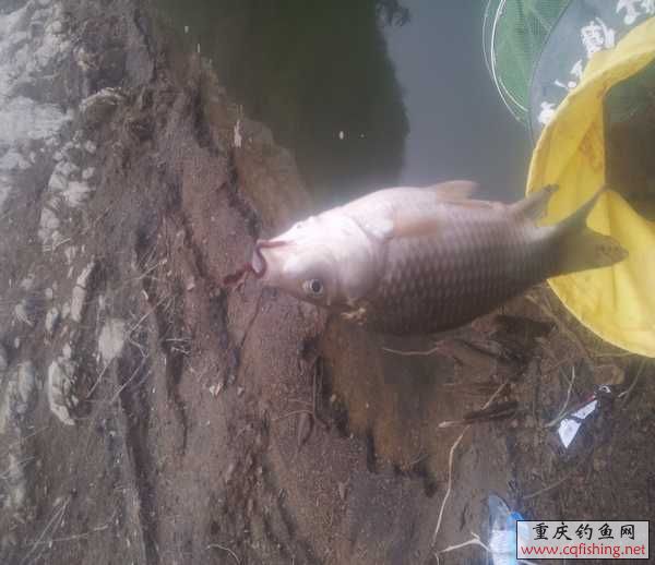 20130316_100056.jpg