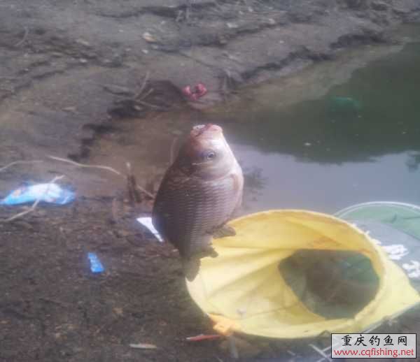 20130316_125941.jpg