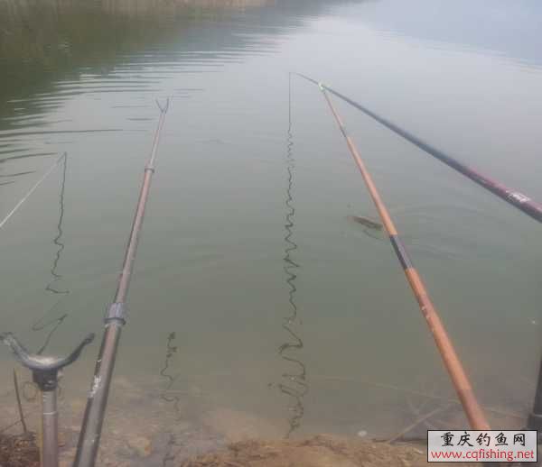 20130316_133220.jpg