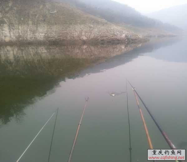 20130316_131837.jpg