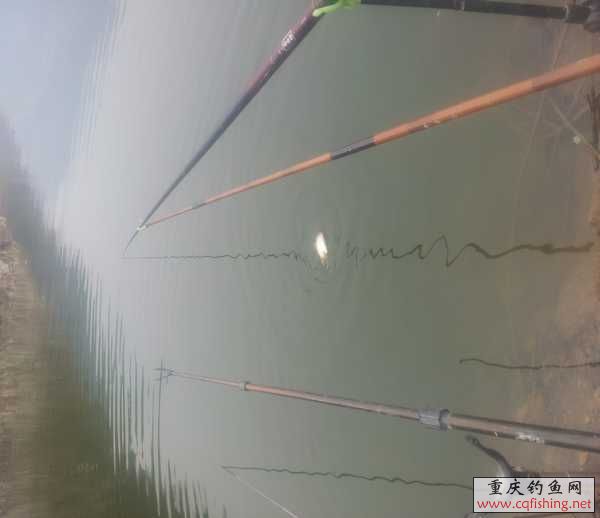 20130316_133224.jpg