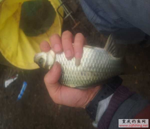 20130316_150734.jpg