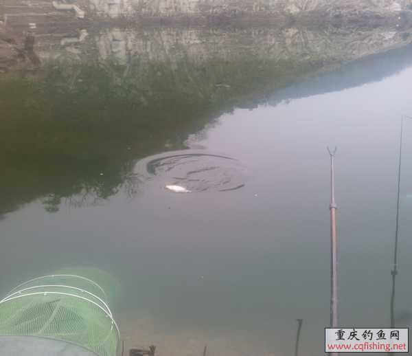 20130316_151131.jpg