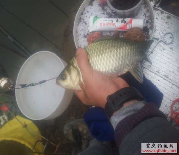 20130316_151151.jpg