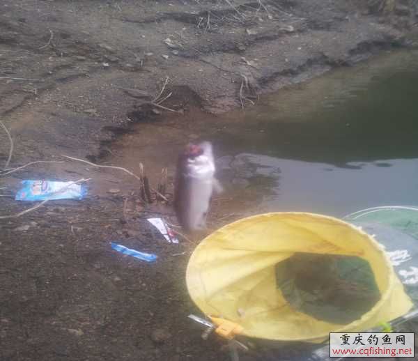 20130316_152152.jpg