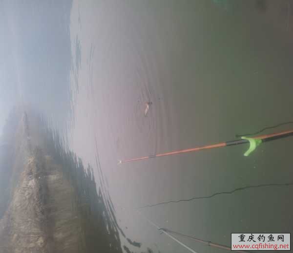 20130316_154224.jpg