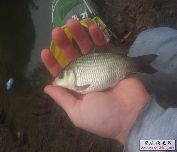 20130317_101304.jpg