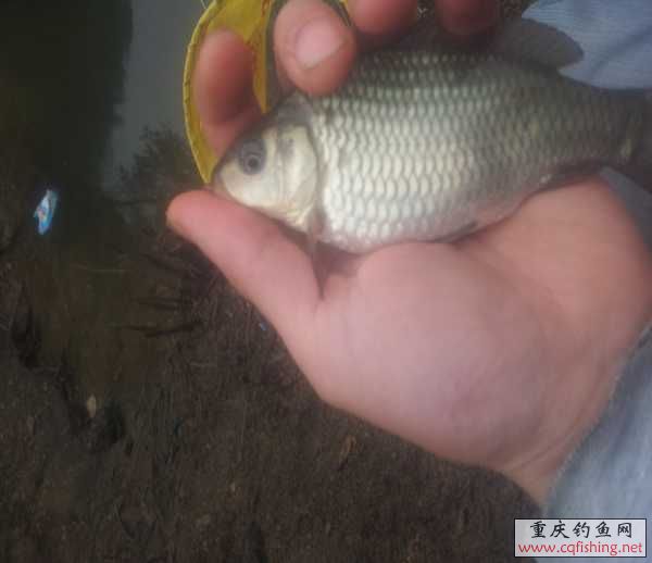 20130317_101300.jpg