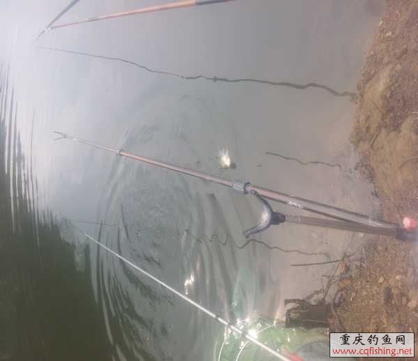 20130317_110204.jpg