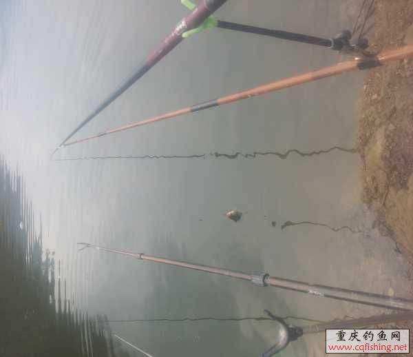 20130317_110210.jpg