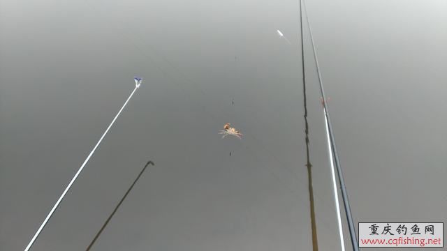 IMAG0898.jpg