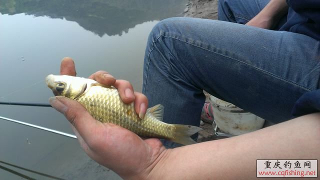 IMAG0901.jpg