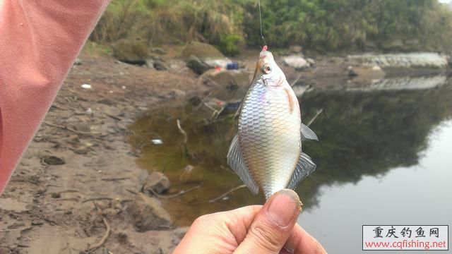 IMAG0903.jpg