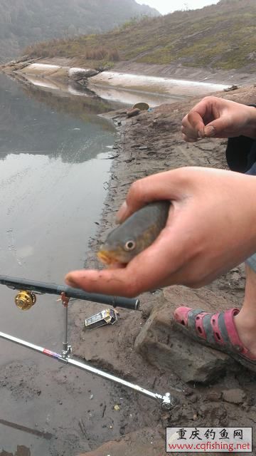 IMAG0904.jpg