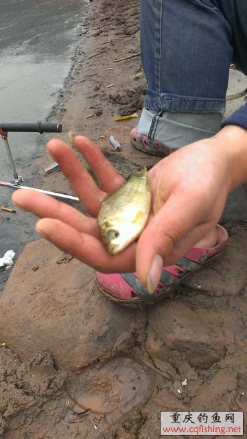 IMAG0917.jpg