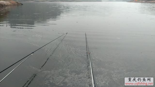IMAG0919.jpg