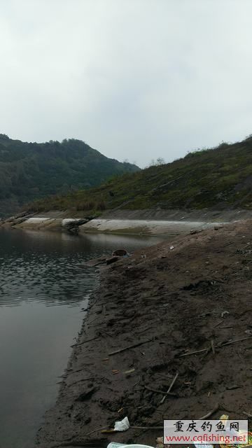 IMAG0923.jpg
