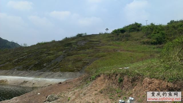 IMAG0931.jpg