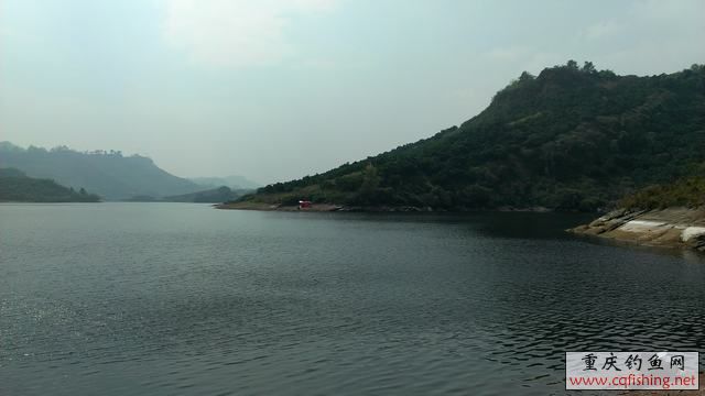 IMAG0932.jpg
