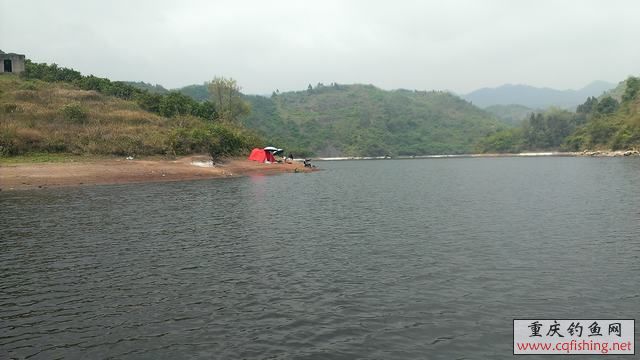 IMAG0939.jpg