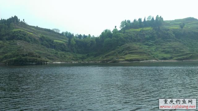 IMAG0940.jpg
