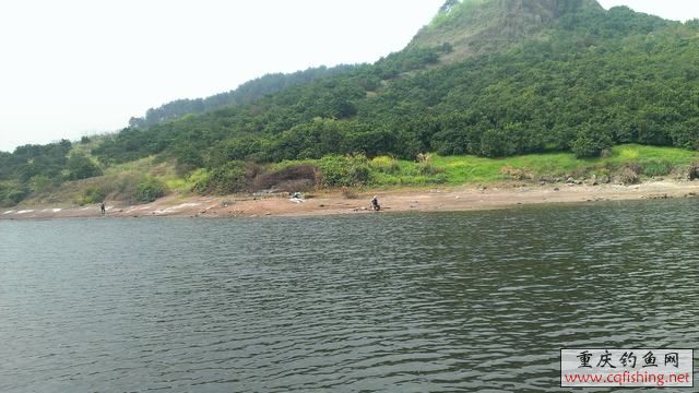 IMAG0941.jpg