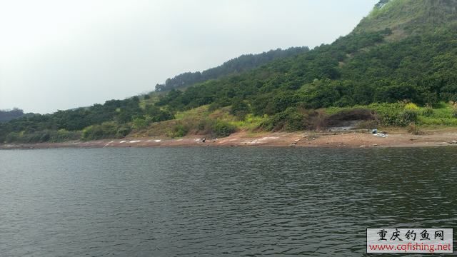 IMAG0942.jpg