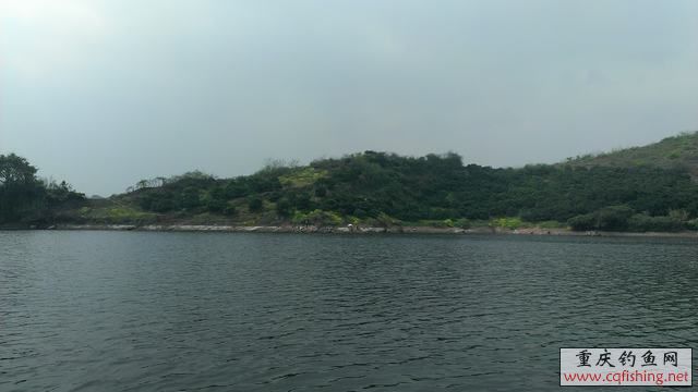 IMAG0946.jpg
