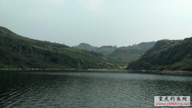 IMAG0947.jpg