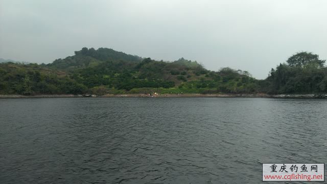 IMAG0953.jpg