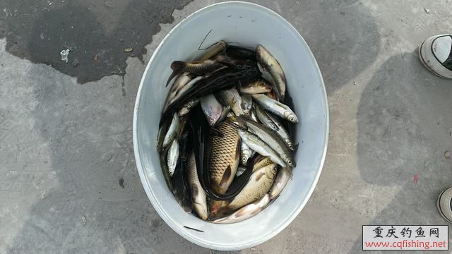 IMAG0957.jpg
