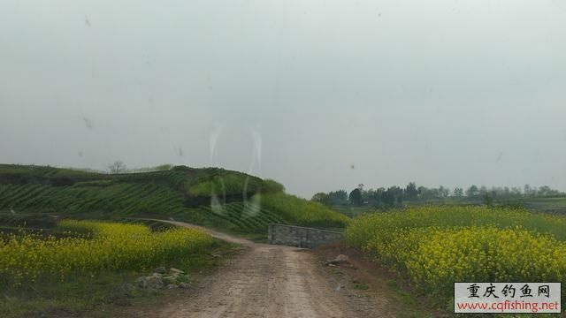 IMAG0959.jpg