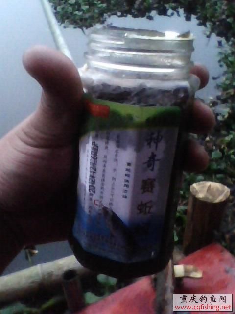 1303131353.jpg