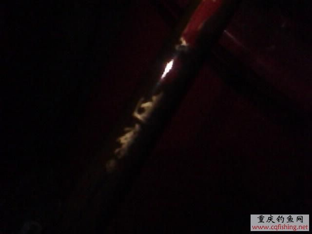 1303131360.jpg
