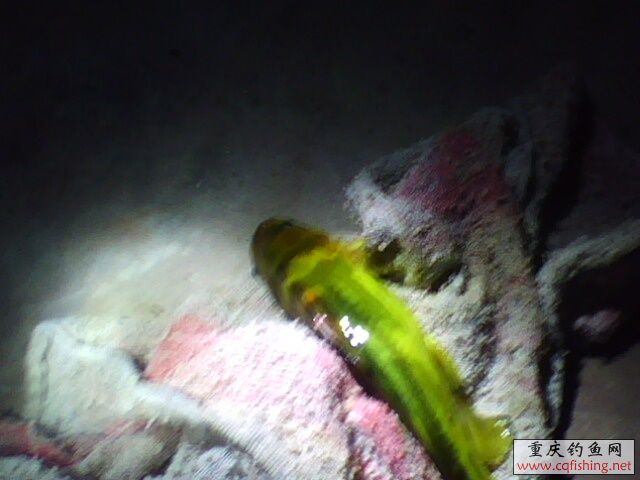 1303181382.jpg