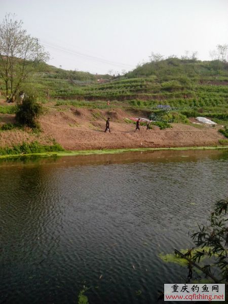 173433guoaunliigippmh7.jpg