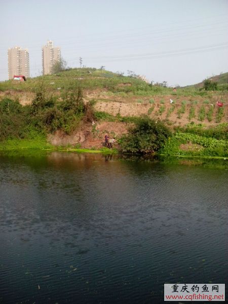 173438ruyi9yzujizcy6nw.jpg