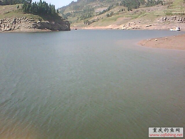 IMG0710A.jpg