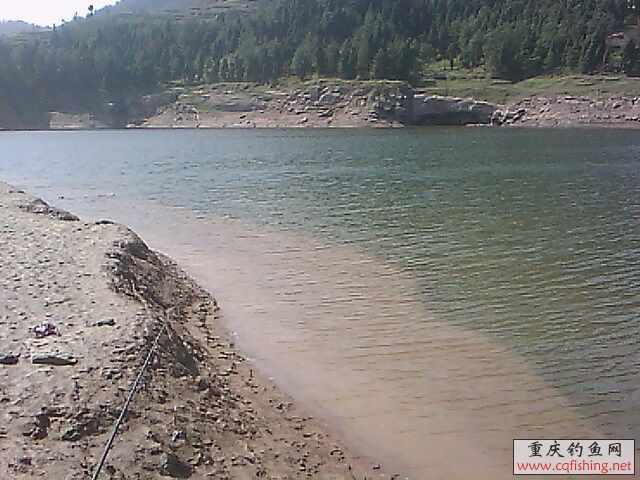 IMG0713A.jpg