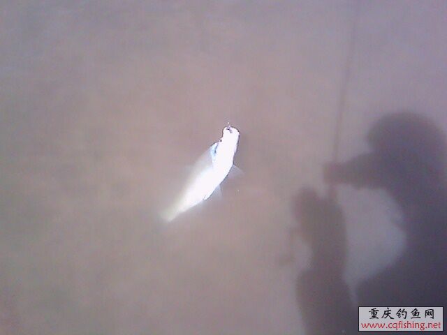 IMG0715A.jpg
