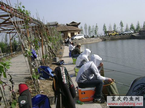 DSC08530.JPG