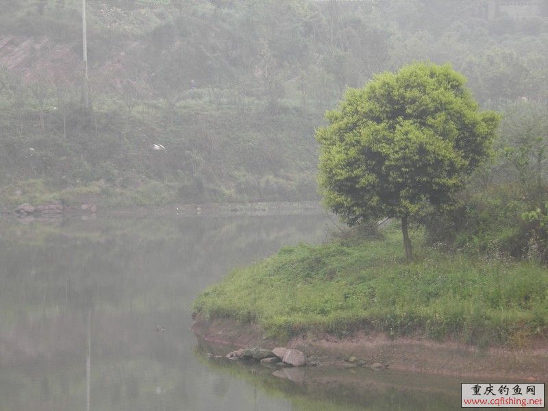 P3230230.JPG
