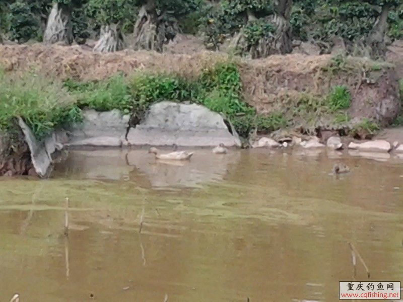 20130323_153213.jpg